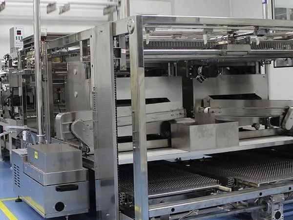 Vetom Hard Capsule Production Line in Russia