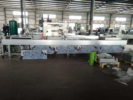 Ukrainian Client Orders Packaging Machine